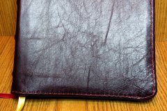 IMG_4304