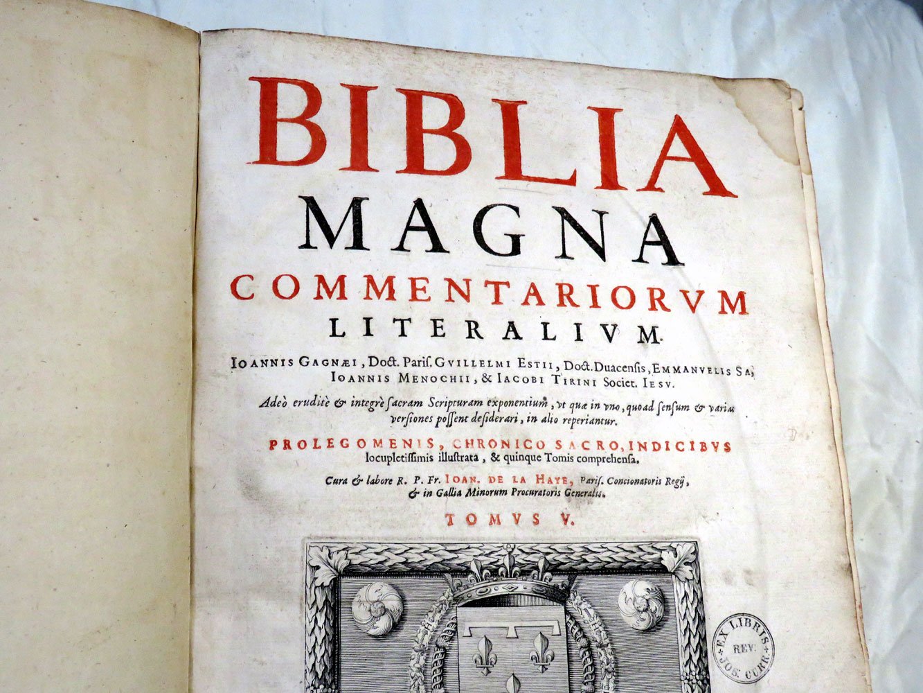 Bible magna