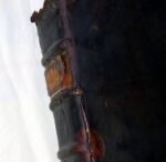 1643 Bible Magna Commentariorum Literalium 5 VOL Great Bible Literal Commentaries - Image 12