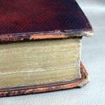 1608 English GENEVA Bible printed in London by Robert Barker - Image 8