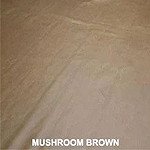 Mushroom Brown